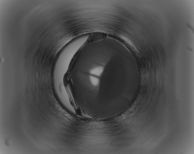 X0000091670977200709201216