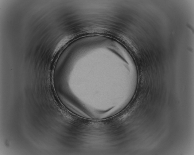 X0000091670978200709201216