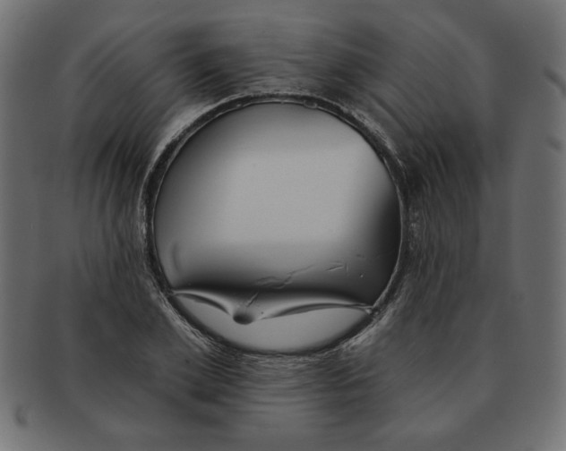 X0000091670981200709201216