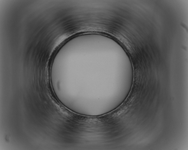 X0000091670982200709201216