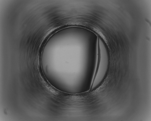 X0000091670984200709201216