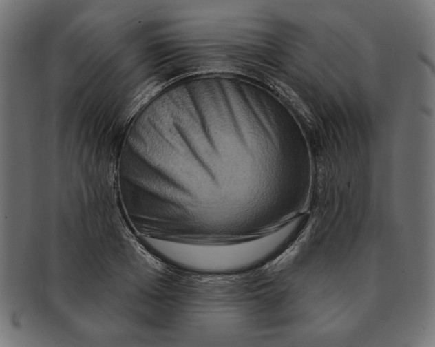 X0000091670985200709201216