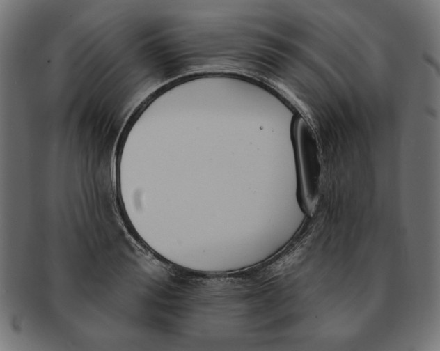 X0000091670988200709201216