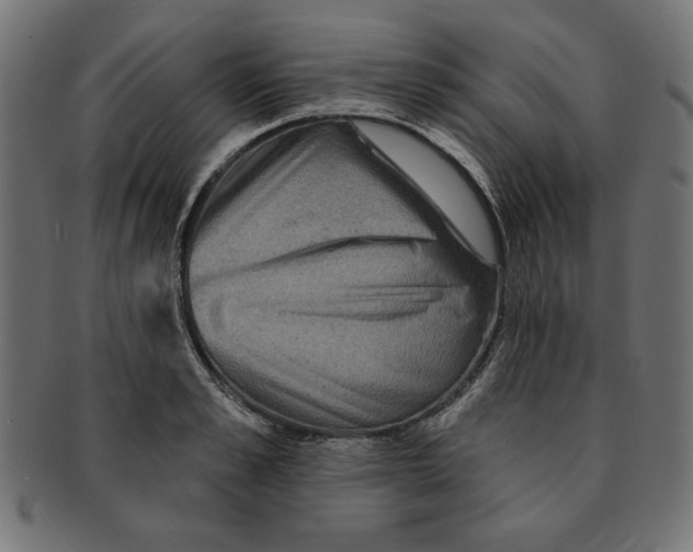 X0000091670989200709201216