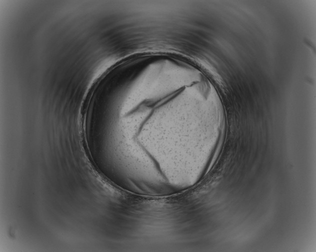 X0000091670990200709201216