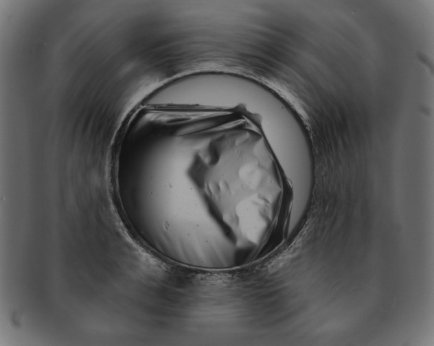 X0000091670991200709201216