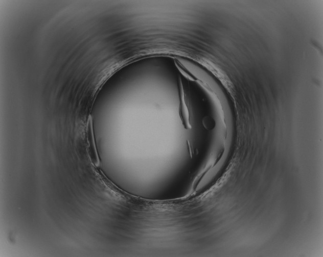 X0000091670993200709201216