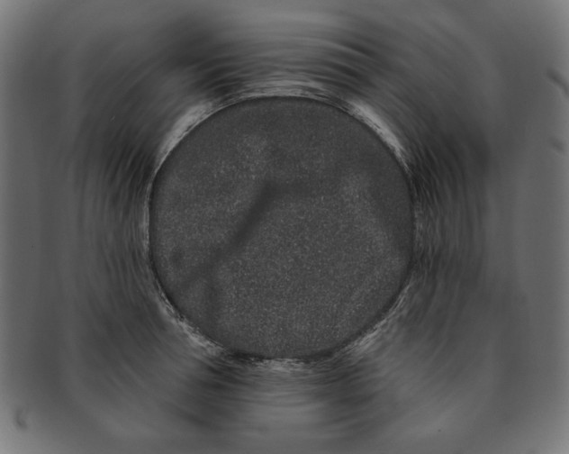 X0000091670994200709201216