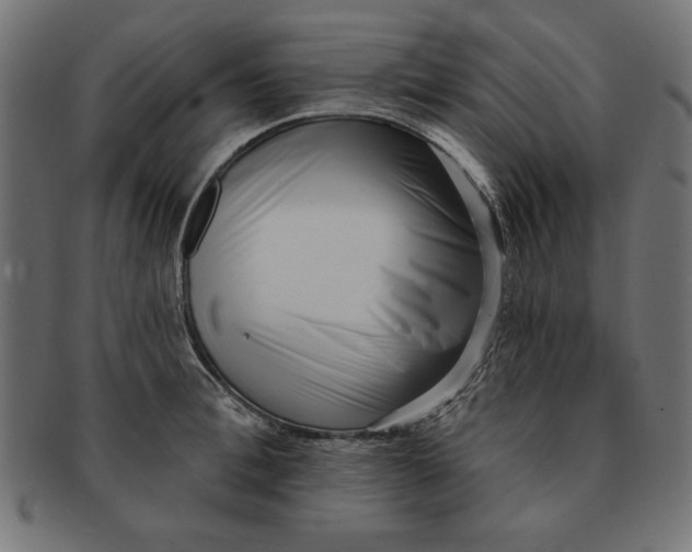 X0000091670996200709201216