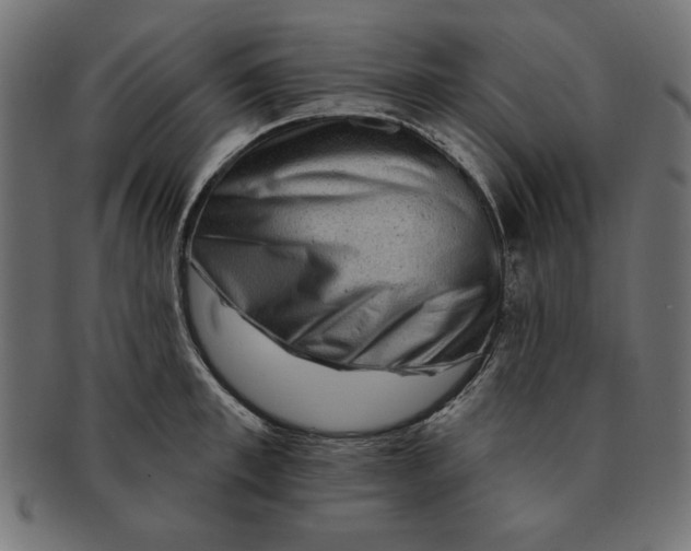 X0000091670997200709201216