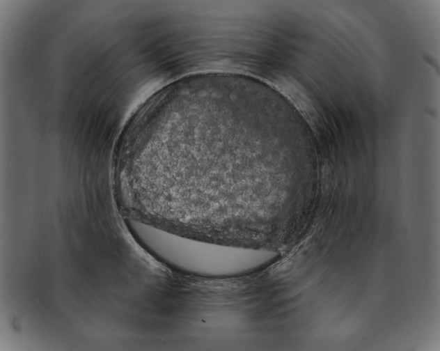 X0000091670998200709201216