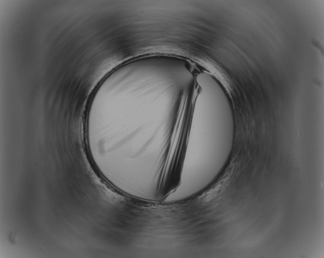 X0000091670999200709201216