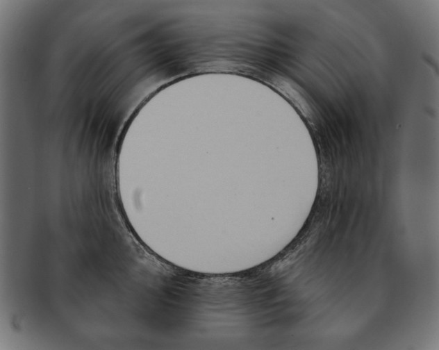 X0000091671000200709201216