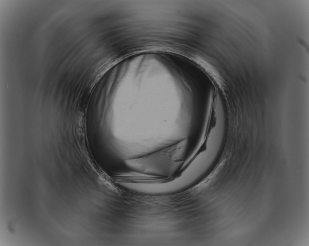 X0000091671001200709201216