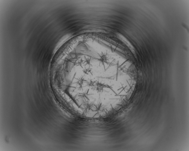 X0000091671002200709201216