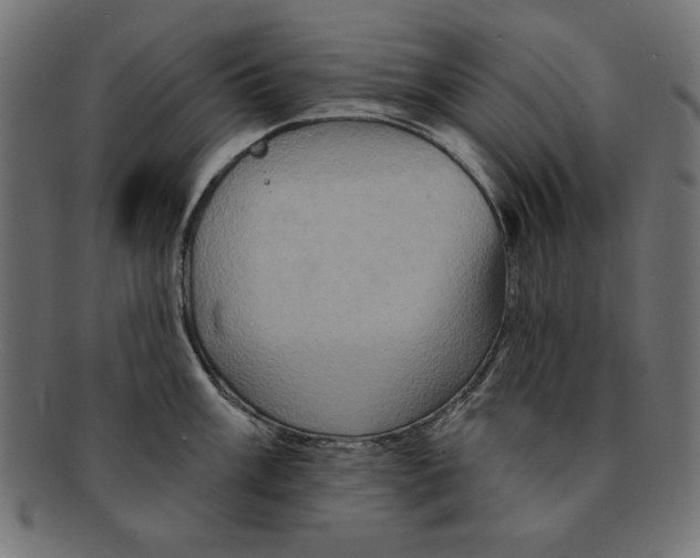 X0000091671003200709201216