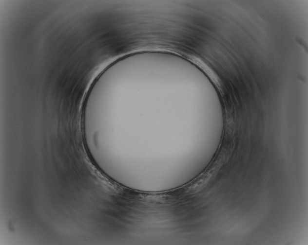 X0000091671004200709201216