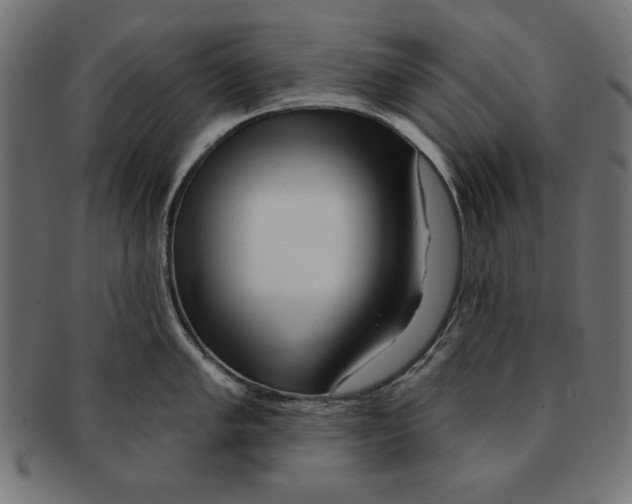 X0000091671005200709201216