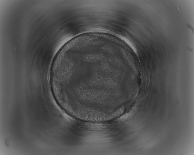 X0000091671007200709201216