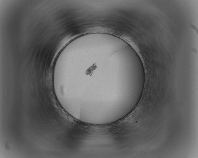 X0000091671008200709201215