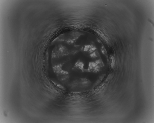 X0000091671009200709201215