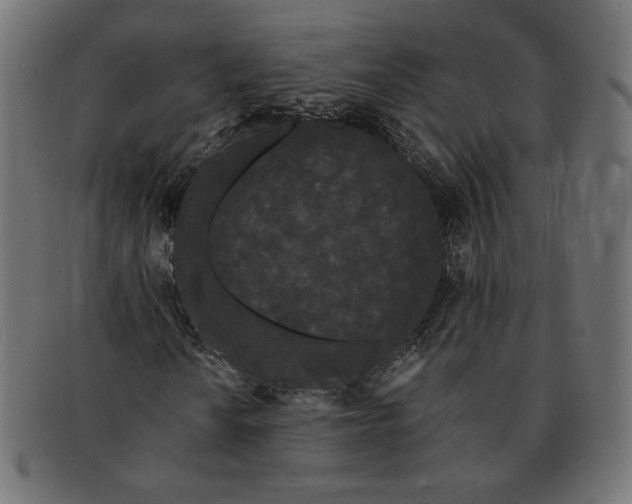 X0000091671010200709201215