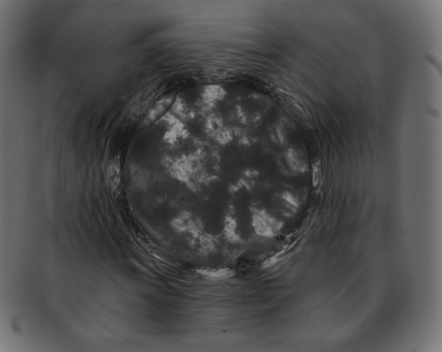 X0000091671011200709201215