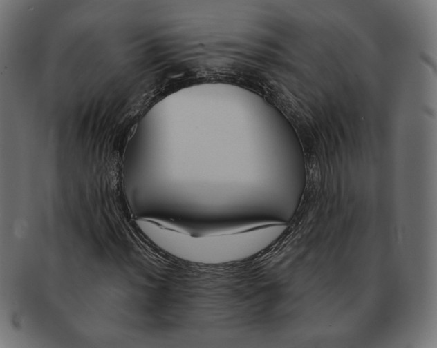 X0000091671012200709201215