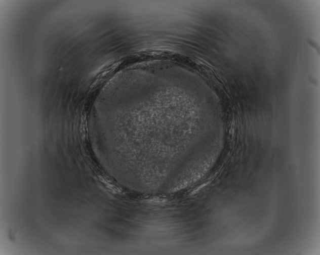 X0000091671014200709201215