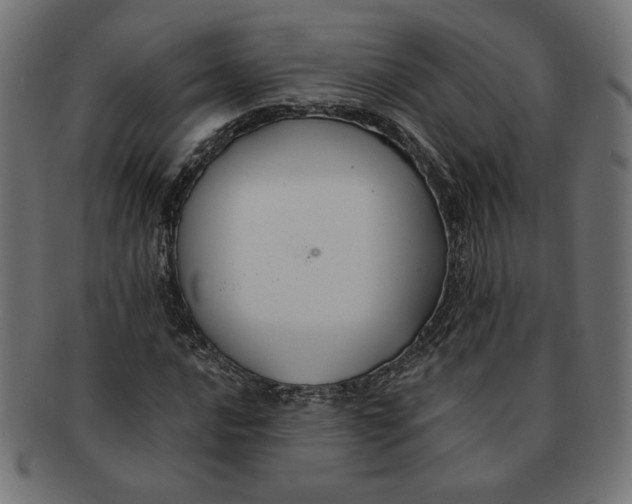 X0000091671016200709201215