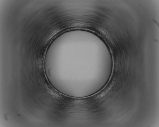 X0000091671017200709201215