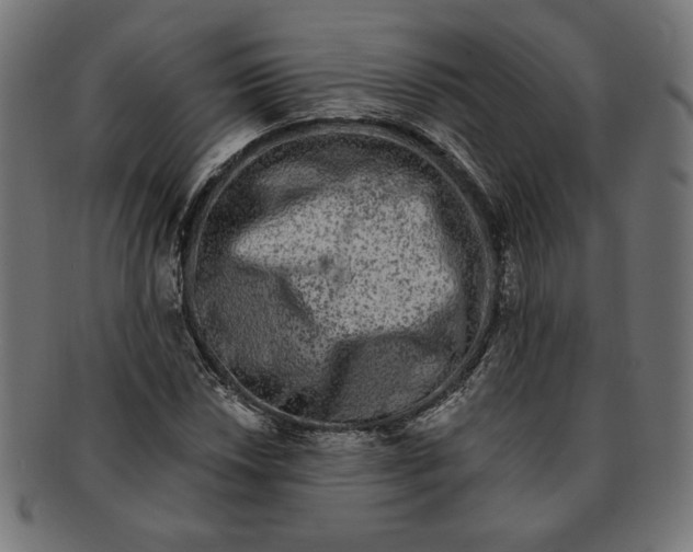 X0000091671018200709201215