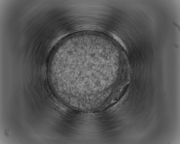 X0000091671019200709201215