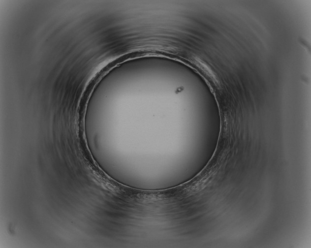 X0000091671020200709201215