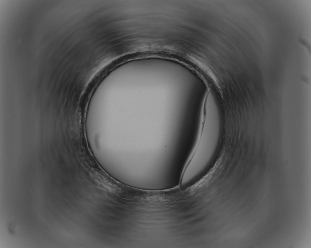 X0000091671021200709201215