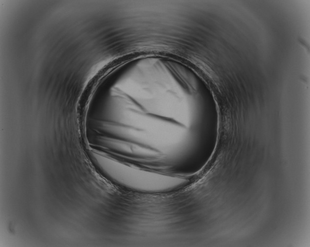 X0000091671022200709201215