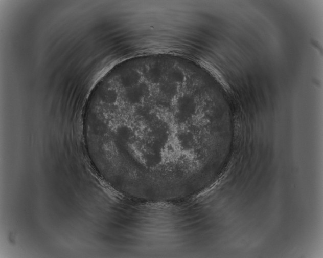 X0000091671023200709201215