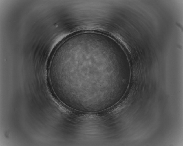 X0000091671024200709201215