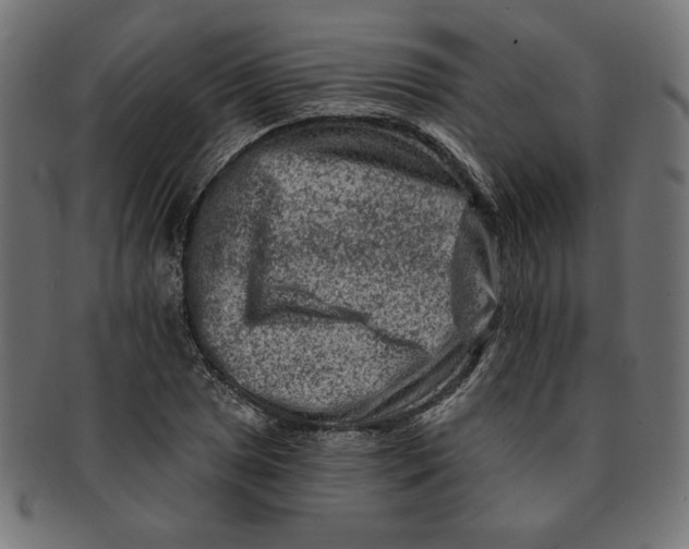 X0000091671025200709201215