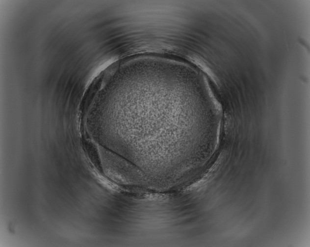 X0000091671026200709201215