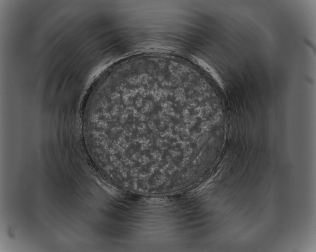 X0000091671027200709201215