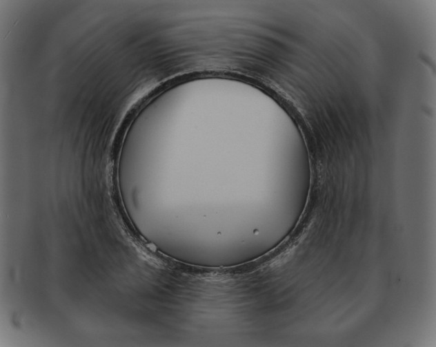 X0000091671029200709201215