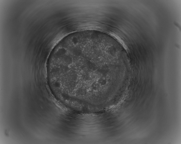 X0000091671031200709201215