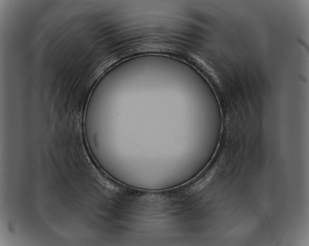 X0000091671033200709201215