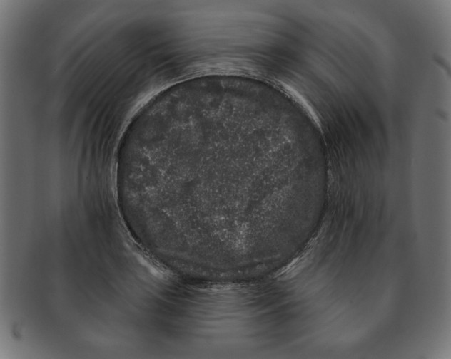 X0000091671035200709201215