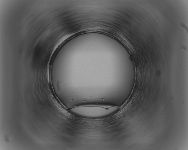 X0000091671036200709201215