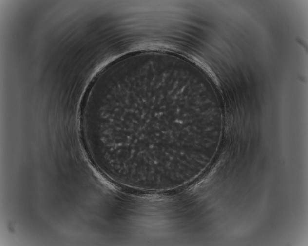 X0000091671037200709201215