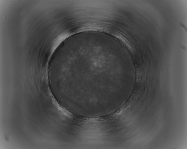 X0000091671038200709201215