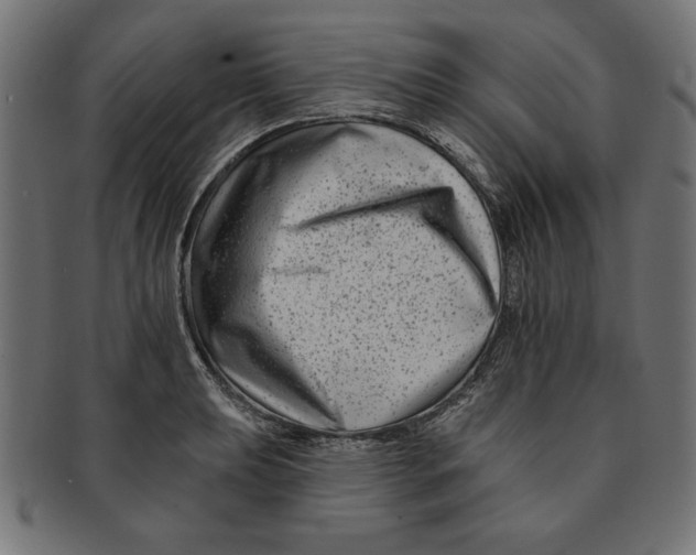 X0000091671039200709201215