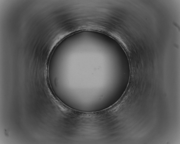 X0000091671040200709201215